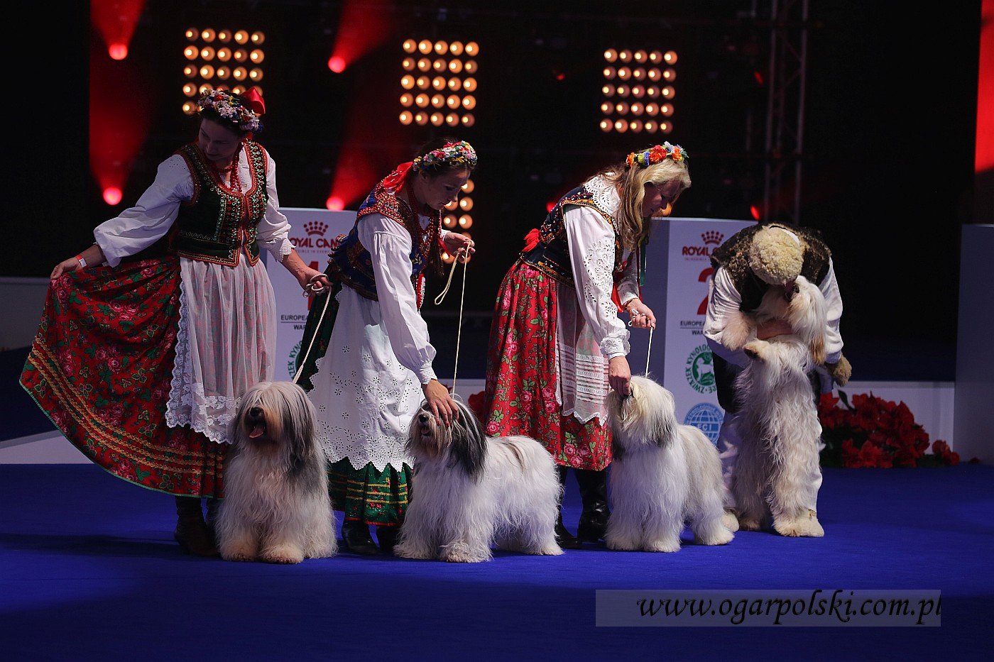 małe-IMG_4976.jpg