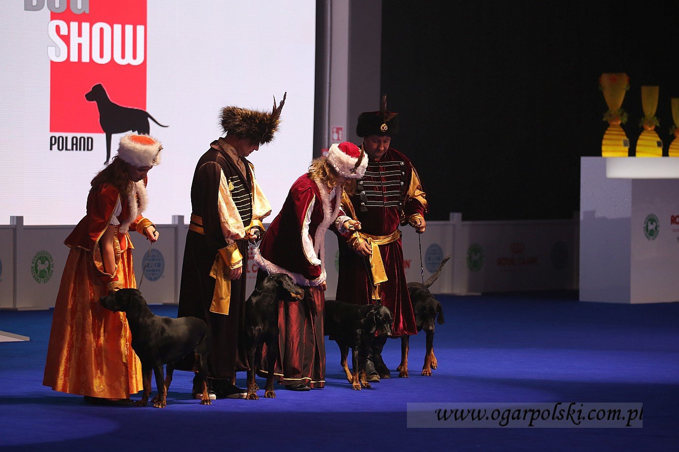 małe-IMG_5001.jpg
