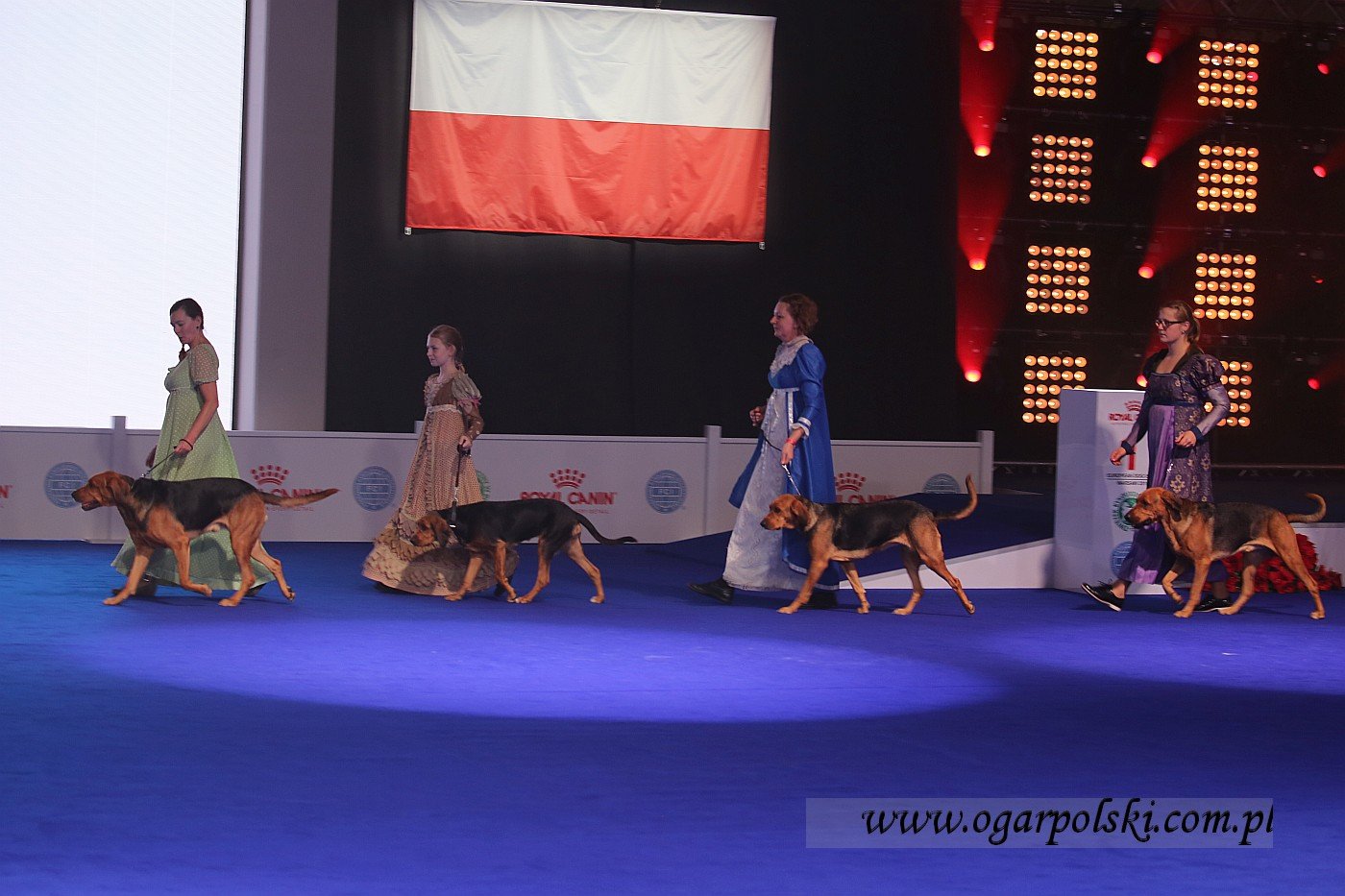 małe-IMG_5015.jpg