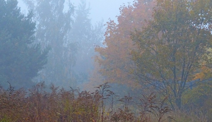 P1090622.JPG