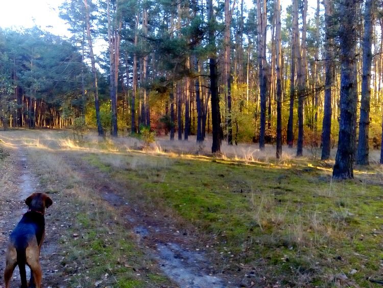 DSC_3222.JPG