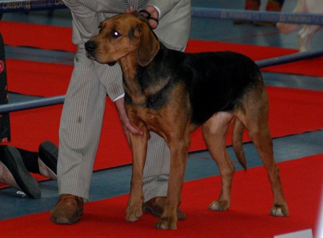 Zmiana