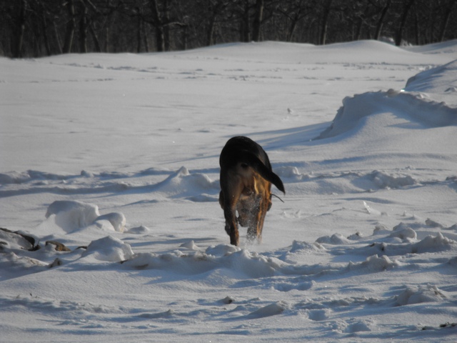 DSCF5033.JPG