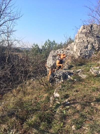 Czesna (4).JPG