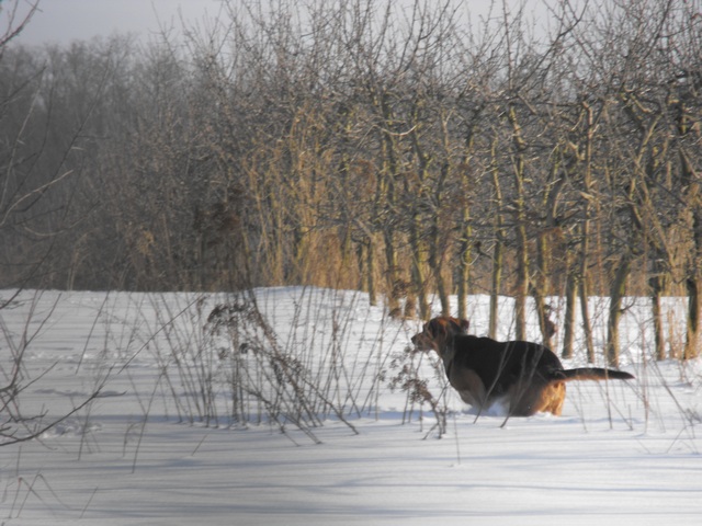 DSCF5034.JPG