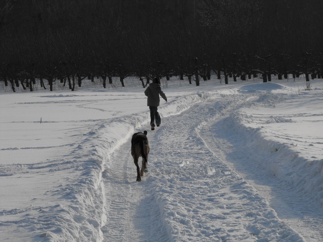 DSCF5041.JPG