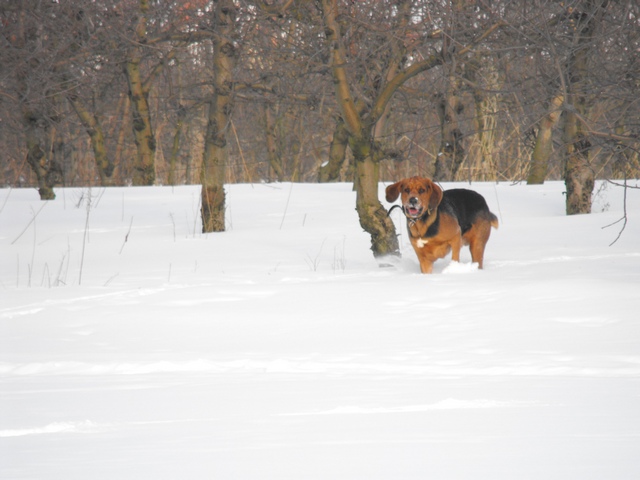 DSCF5049.JPG