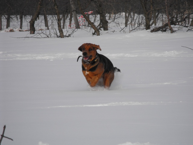 DSCF5050.JPG
