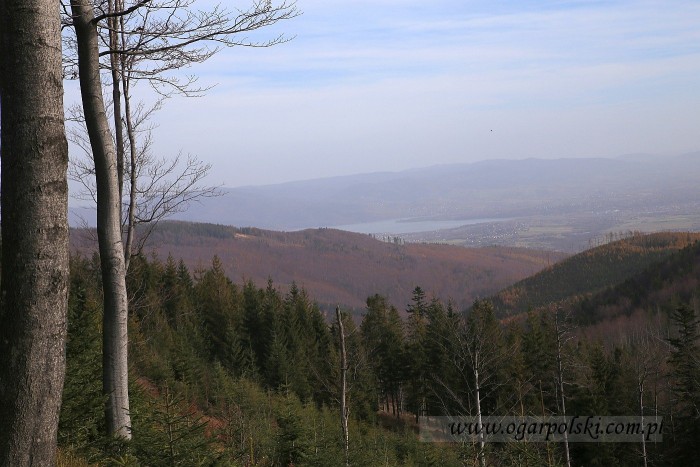 małe-IMG_5233.jpg