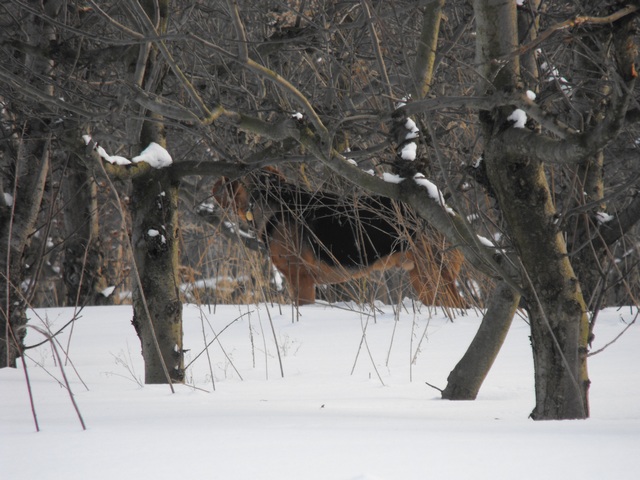 DSCF5056.JPG