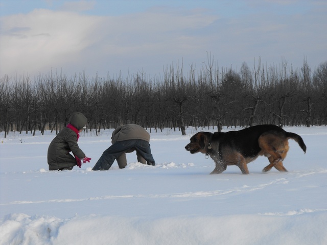 DSCF5058.JPG