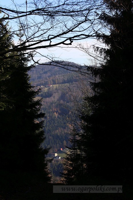 Tomkowe kadry.
