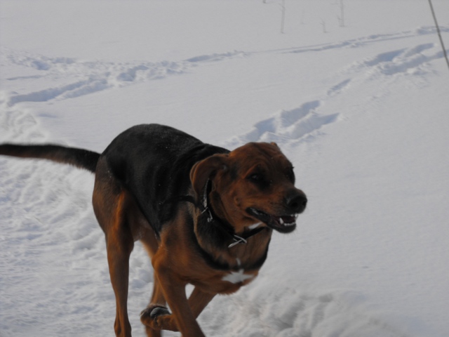 DSCF5064.JPG