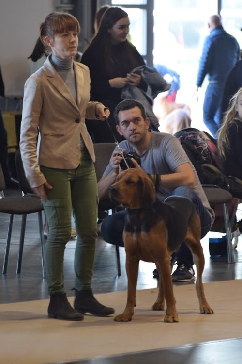 ZAWISZA z Kniaziów