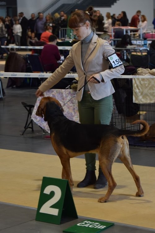 ZAWISZA z Kniaziów