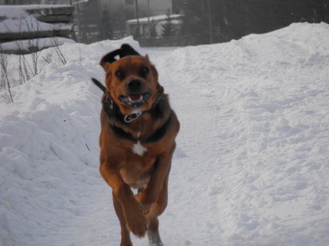 DSCF5071.JPG