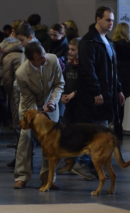 ATOS z Jurajskiej Wyżyny