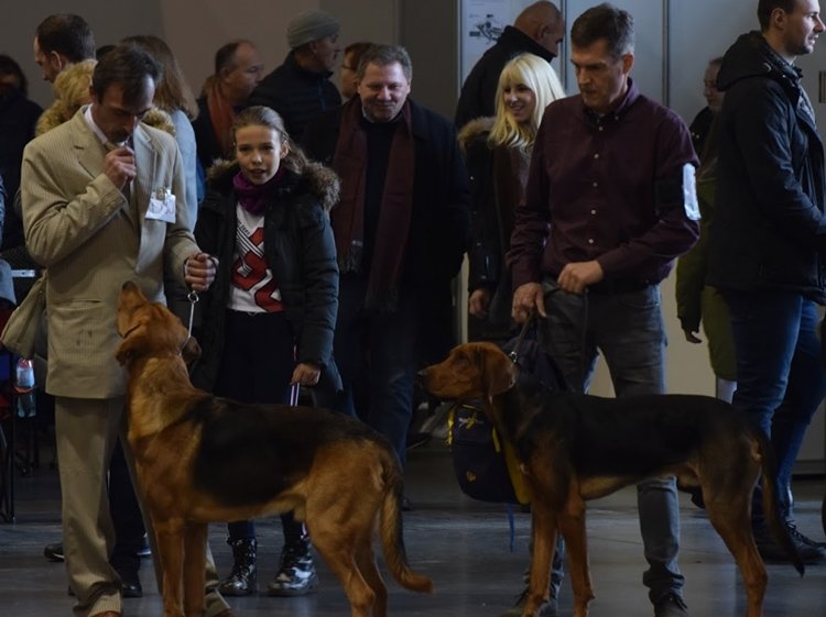 ATOS z Jurajskiej Wyżyny i SZOT Poszły w Las