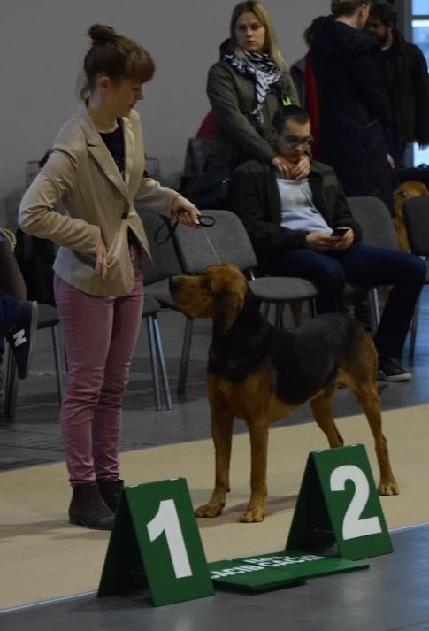 ZAWISZA z Kniaziów