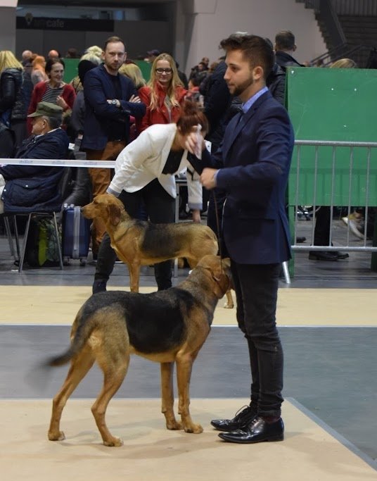 ASTRA z Beskidzkich Wysp