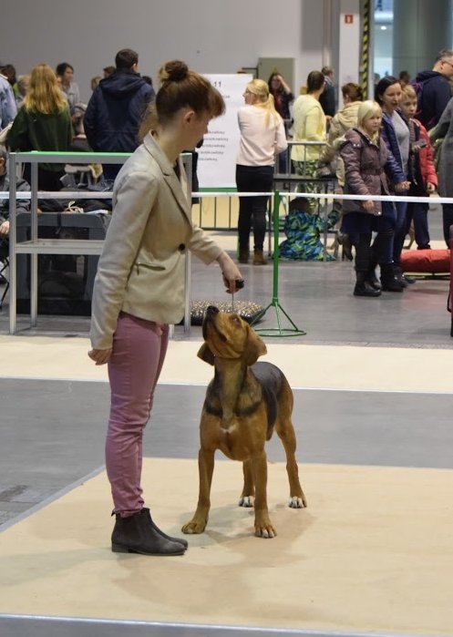 HARDA z Kniaziów