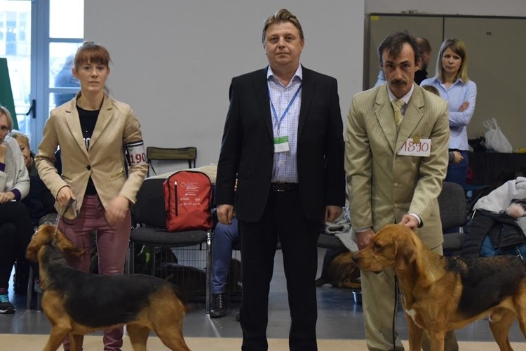 BOS HARDA z Kniaziów i NJwR ATOS z Jurajskiej Wyżyny