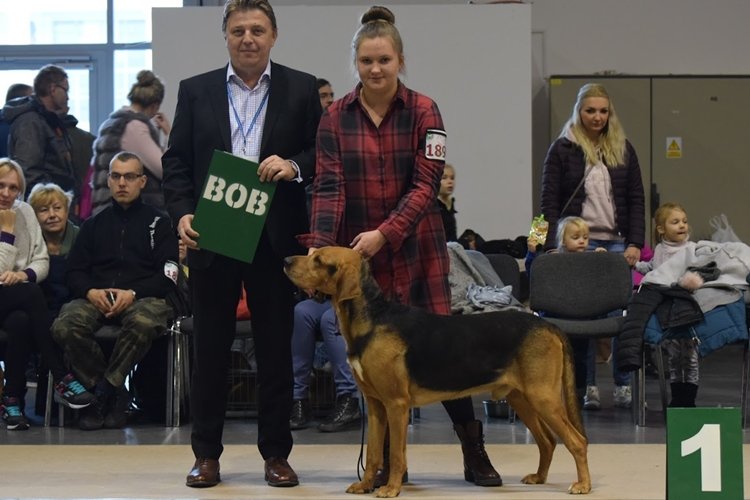 BOB BACHMAT Sfora Nemroda