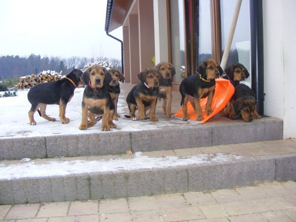 banda.jpg