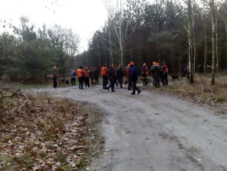 Przed pierwszym miotem