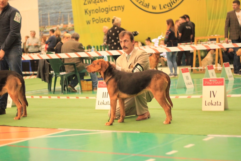 ZMIANA z Huculskiej Łąki NJwR.JPG