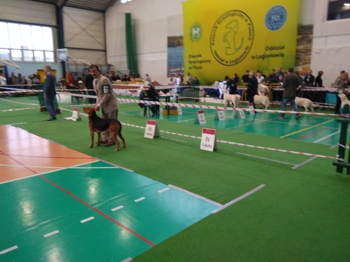 IMG_20181209_102928.jpg