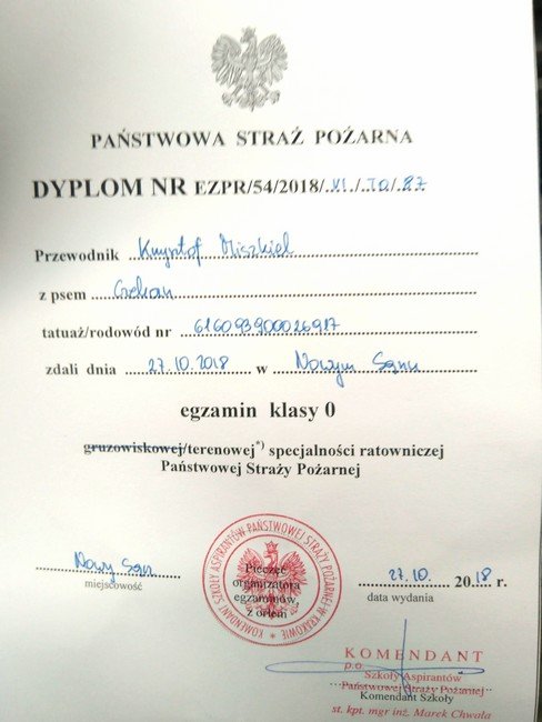 Brawo Wy!