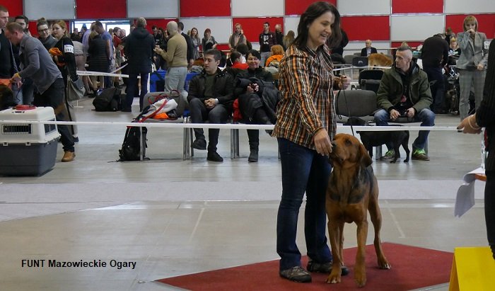 68 FUNT Mazowieckie Ogary 01 16-12-2018 RING.jpg