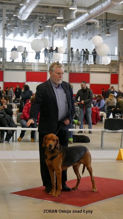 60 ZORAN Ostoja znad Łyny.jpg