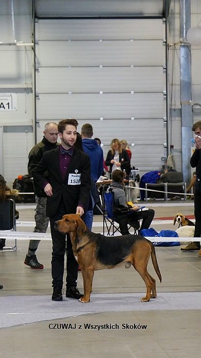62 CZUWAJ z Wszystkich Skoków 01 16-12-2018 RING.jpg
