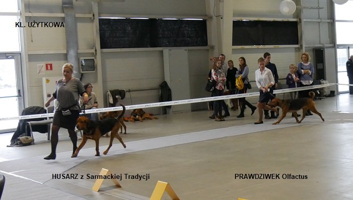 59 KL UŻUTKOWA - PSY.jpg