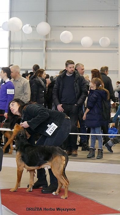 53 DRUŻBA Hrebu Węszynos 01 RING.jpg