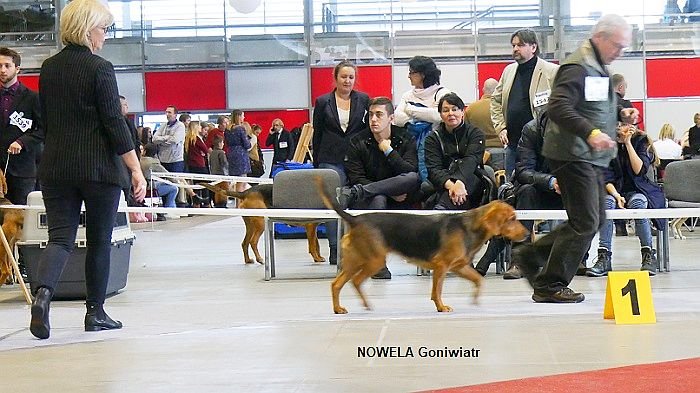 34 NOWELA Goniwiatr 03 RING.jpg