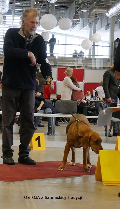 20 OSTOJA z Sarmackiej Tradycji 02 RING.jpg