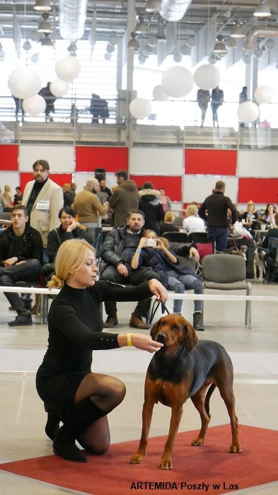 27 ARTEMIDA Poszły w Las 02 RING.jpg