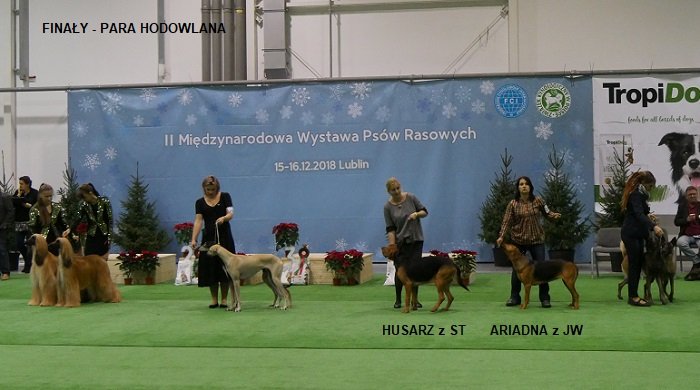 203 FINAŁY-PARA HODOWLANA OGARY 01.jpg