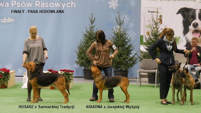 206 FINAŁY-PARA HODOWLANA OGARY.jpg