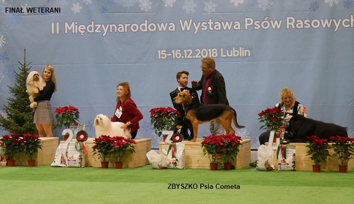 208 FINAŁ WETERANI ZBYSZKO PC podium.jpg