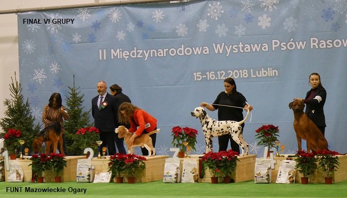 209 FINAŁY VI GRUPY FUNT.jpg