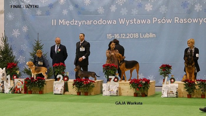 212 FINAŁ UŻYTKI GAJA Warkuta.jpg