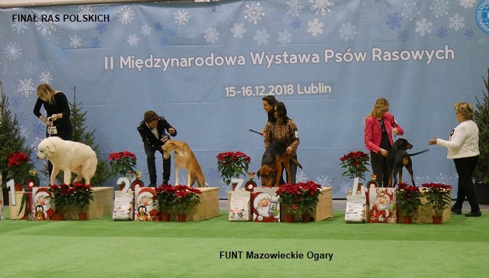 213 FINAŁ RAS POLSKICH.jpg