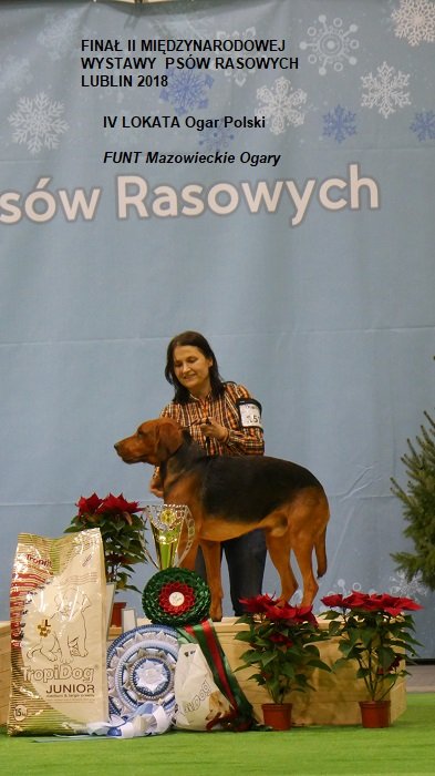 214 FINAŁ FINAŁOW 01.jpg