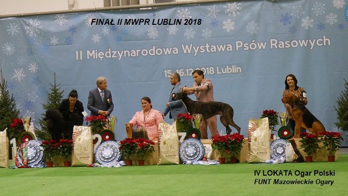 215 FINAŁ FINAŁOW 02.jpg