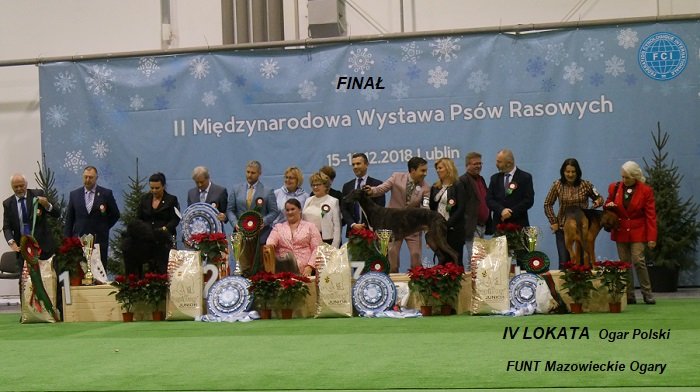 216 FINAŁ FINAŁOW 03.jpg