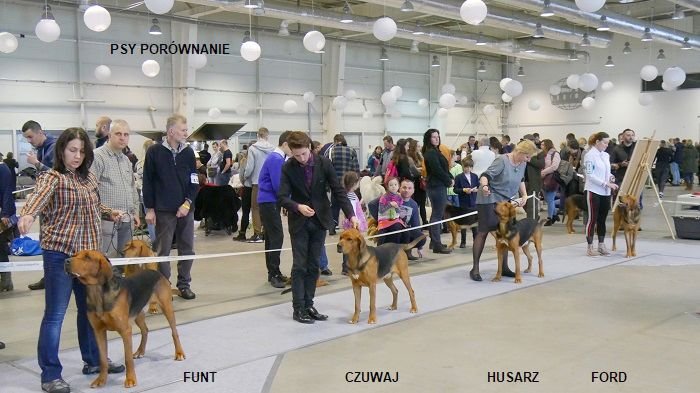 303 PSY PORÓWNANIE 01.jpg